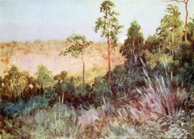 Jungle sur la ligne de Lashio - Robert George Talbot Kelly